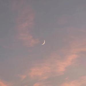 迪丽热巴裸被❌网站
